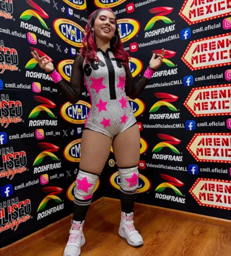 Image 23664843 from Women of Professional Wrestling