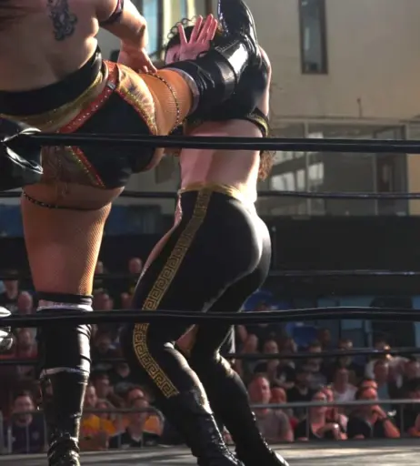 Image 23664728 from Women of Professional Wrestling