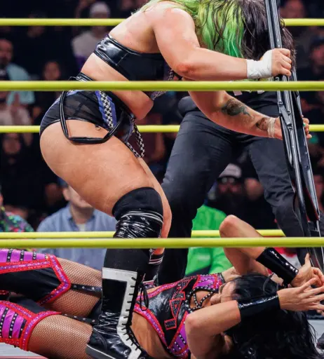 Image 23664705 from Women of Professional Wrestling