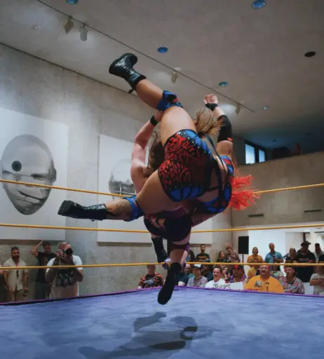 Image 23664690 from Women of Professional Wrestling