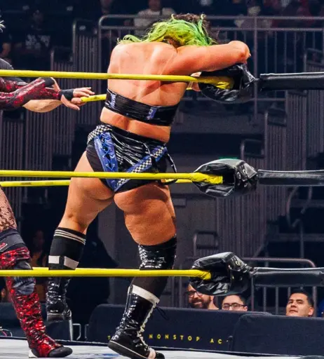 Image 23664698 from Women of Professional Wrestling