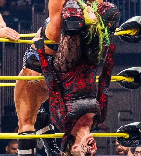Image 23664688 from Women of Professional Wrestling