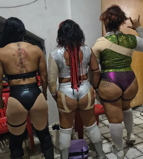 Image 23664662 from Women of Professional Wrestling