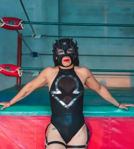 Image 23664665 from Women of Professional Wrestling