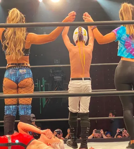 Image 23664640 from Women of Professional Wrestling