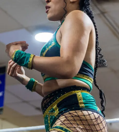 Image 23667980 from Women of Professional Wrestling