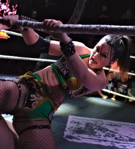 Image 23667901 from Women of Professional Wrestling