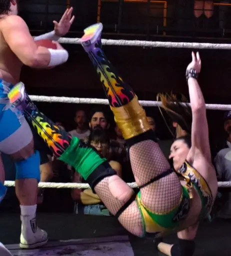 Image 23667900 from Women of Professional Wrestling