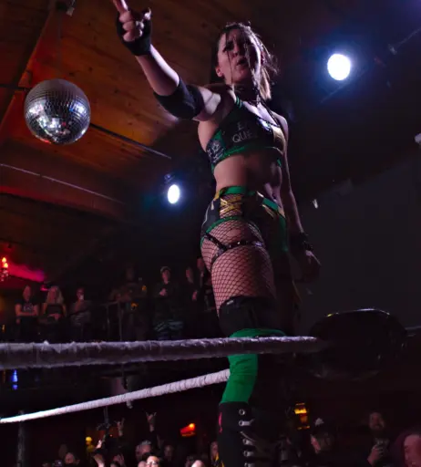 Image 23667904 from Women of Professional Wrestling