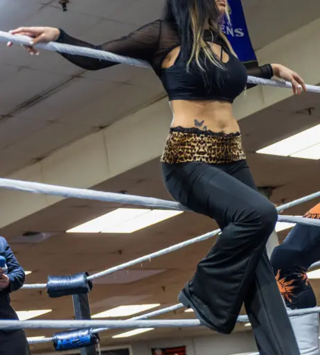 Image 23667953 from Women of Professional Wrestling
