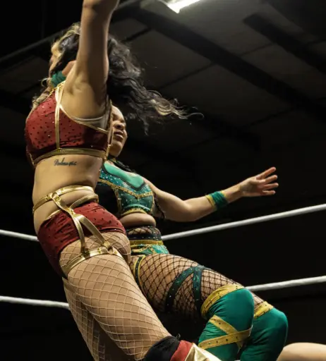 Image 23667947 from Women of Professional Wrestling