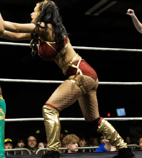Image 23667946 from Women of Professional Wrestling