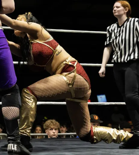 Image 23667944 from Women of Professional Wrestling