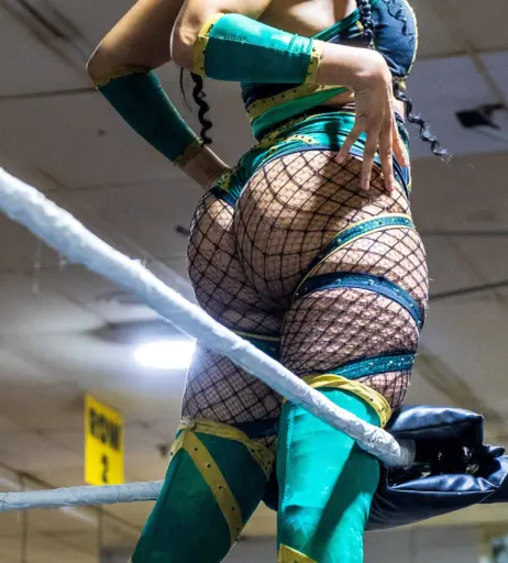 Image 23667977 from Women of Professional Wrestling