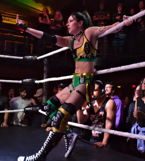 Image 23667899 from Women of Professional Wrestling