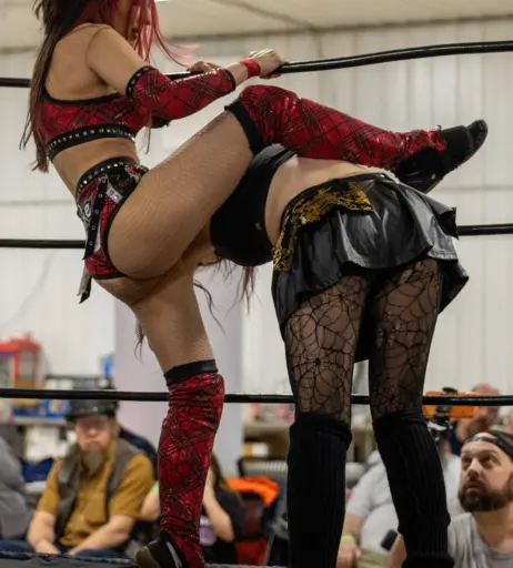 Image 23667813 from Women of Professional Wrestling
