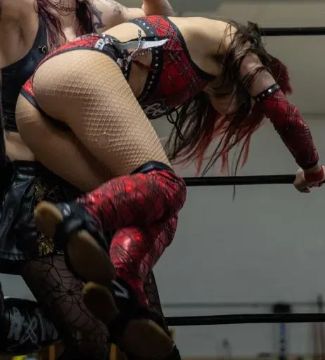 Image 23667814 from Women of Professional Wrestling