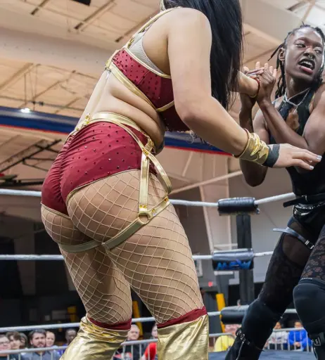 Image 23667803 from Women of Professional Wrestling