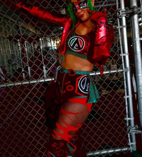 Image 23667835 from Women of Professional Wrestling
