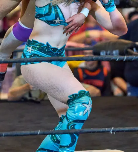 Image 23667592 from Women of Professional Wrestling