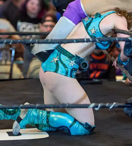Image 23667599 from Women of Professional Wrestling