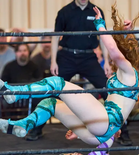 Image 23667587 from Women of Professional Wrestling