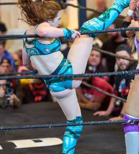 Image 23667588 from Women of Professional Wrestling