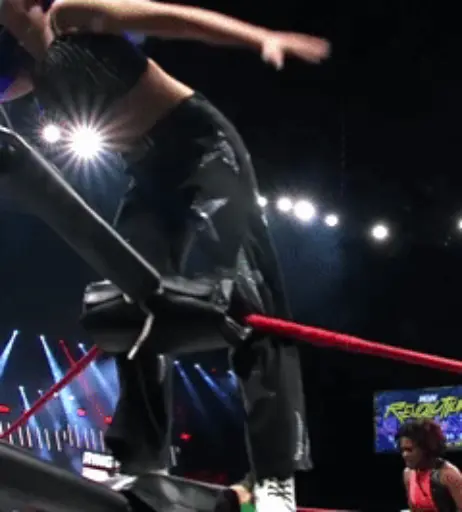 Image 23667537 from Women of Professional Wrestling