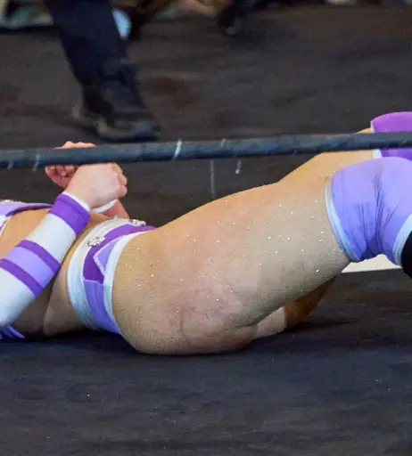 Image 23667561 from Women of Professional Wrestling