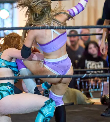 Image 23667557 from Women of Professional Wrestling