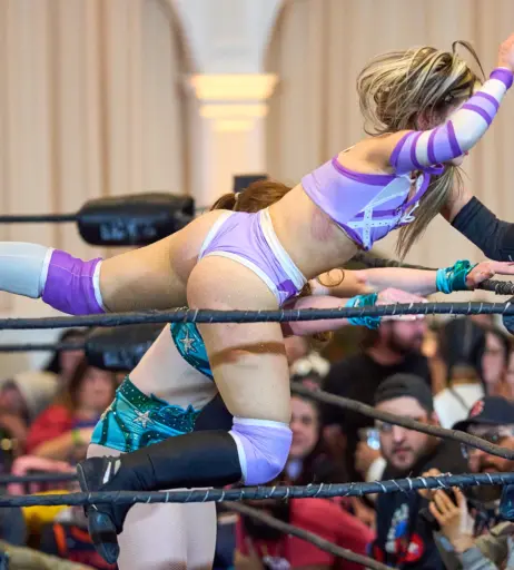 Image 23667572 from Women of Professional Wrestling
