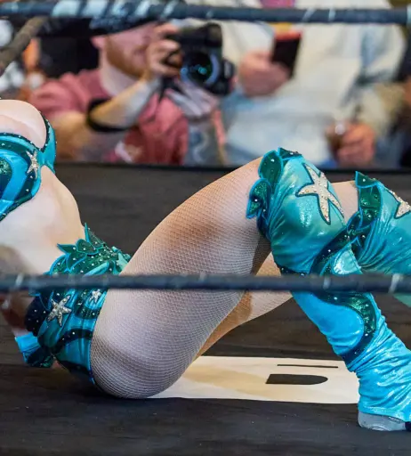 Image 23667575 from Women of Professional Wrestling