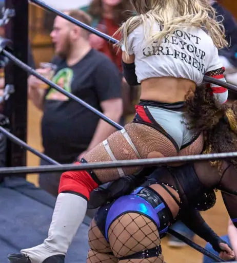 Image 23667410 from Women of Professional Wrestling