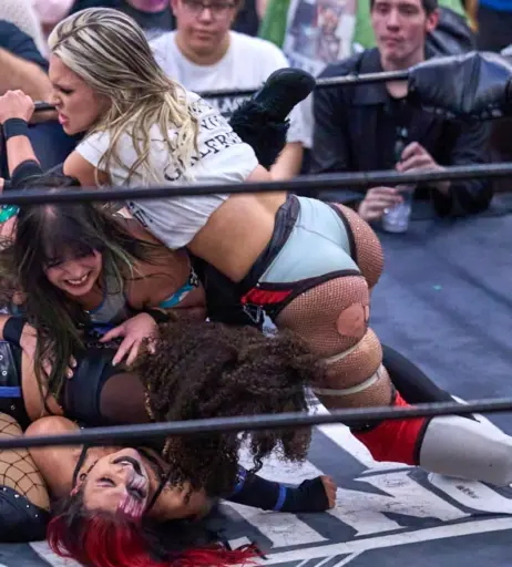 Image 23667407 from Women of Professional Wrestling