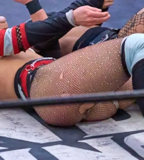 Image 23667408 from Women of Professional Wrestling