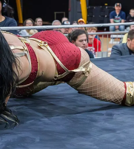 Image 23667797 from Women of Professional Wrestling