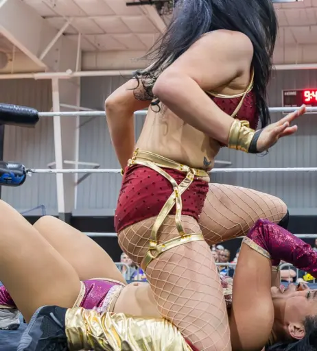 Image 23667796 from Women of Professional Wrestling