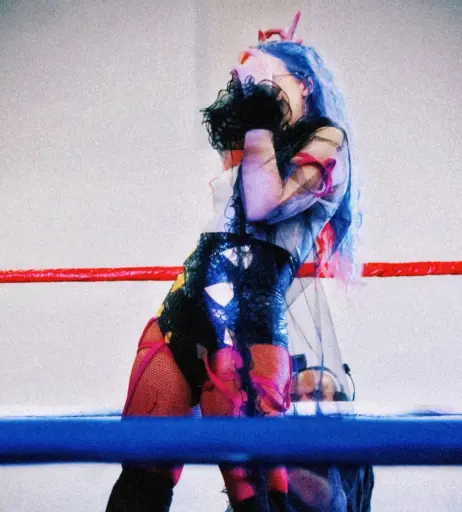 Image 23667772 from Women of Professional Wrestling