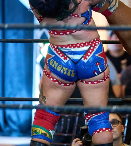 Image 23667683 from Women of Professional Wrestling