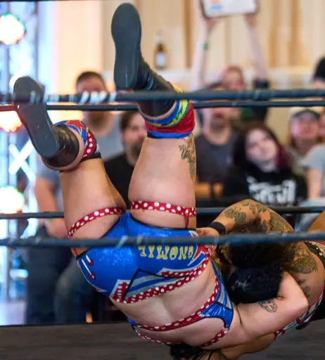 Image 23667682 from Women of Professional Wrestling