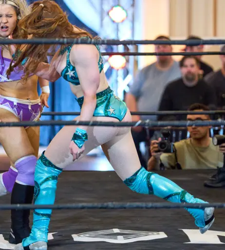 Image 23667601 from Women of Professional Wrestling