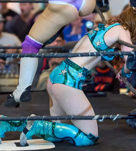 Image 23667600 from Women of Professional Wrestling