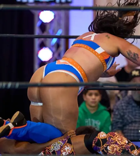 Image 23667100 from Women of Professional Wrestling