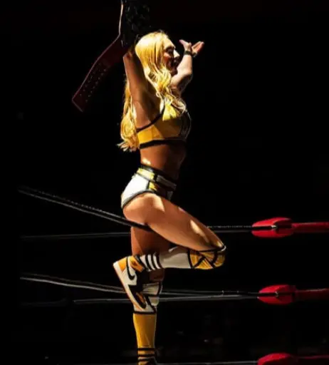 Image 23667138 from Women of Professional Wrestling