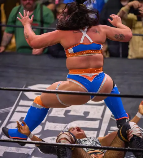 Image 23667171 from Women of Professional Wrestling
