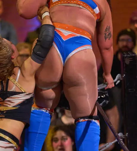 Image 23667176 from Women of Professional Wrestling