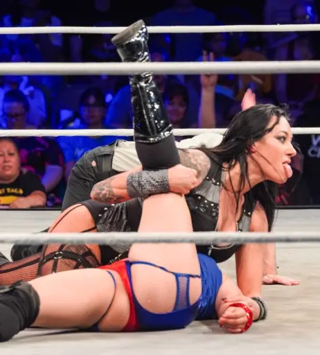 Image 23667090 from Women of Professional Wrestling