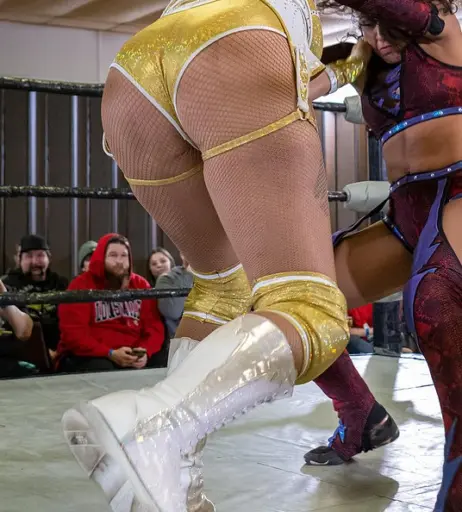 Image 23667095 from Women of Professional Wrestling