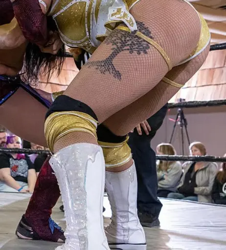 Image 23667099 from Women of Professional Wrestling