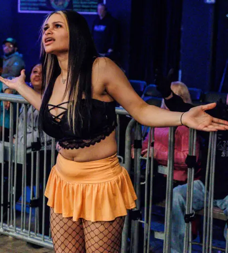 Image 23667089 from Women of Professional Wrestling